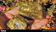 آخرین وضعیت معادن طلای کودکان​​​​​​​/ ۲۷ میلیون تن ذخیره طلای شادان