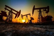 کاهش قیمت نفت در سایه اختلاف‌ها در اوپک