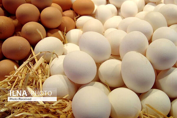 حداکثر قیمت هر کیلوگرم تخم مرغ فله برای مصرف‌کننده