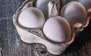 عرضه تخم‌مرغ پایین‌تر از نرخ مصوب در بازار