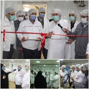 محصول جدید در خط تولید «غگیلا»