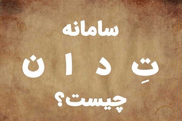 معرفی تدان (tedan) به زبان ساده! همه چیز پلتفرم تدان که باید بدانید