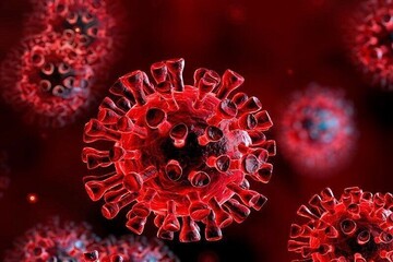 جدیدترین یافته‌ها درباره‌ ویروس کرونا