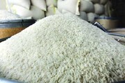 تثبیت قیمت برنج بدون واردات فوری ممکن نیست