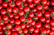 ماجرای غارت محموله وارداتی گوجه فرنگی ایران در پاکستان 