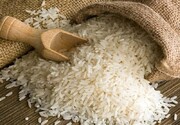 ۱۳ هزار تن برنج دپو شده در گمرک ترخیص می‌شود