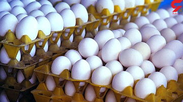 تخم‌مرغ کمتر از نرخ مصوب عرضه می‌شود