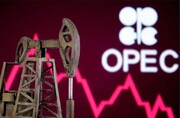 واکنش اوپک پلاس به سقوط قیمت نفت