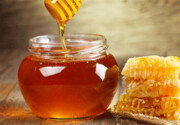 تقلب در کدام مواد غذایی بیشتر است؟/ فقط ۲۵درصد عسل‌های بازار "اصل" است!