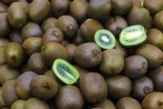ممنوعیت صادرات این میوه خوشمزه ایران لغو شد