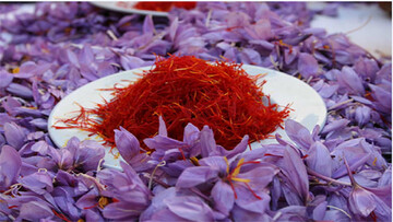رشد ۲۸ درصدی صادرات زعفران در هشت ماهه امسال