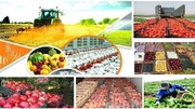 جزئیات تجارت ۳ ماهه محصولات کشاورزی و غذایی + نمودار