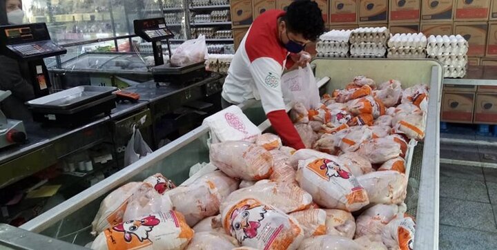  صادرات ۱۸۰ هزار تن مرغ و تخم مرغ تا پایان سال