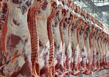 افزایش قیمت گوشت قرمز رکورد زد