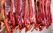 توقف روند افزایشی قیمت گوشت گوسفندی