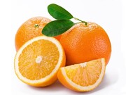 پرتقال با قیمت مناسب از باغداران خریداری نشده است