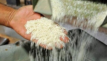 جدیدترین قیمت انواع برنج در بازار