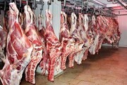 قیمت گوشت در بازار به کیلویی چند رسید؟