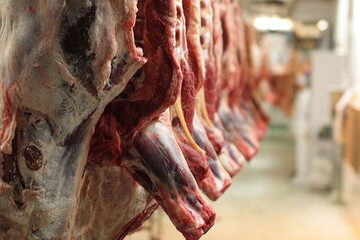 هشدار برای خرید گوشت قرمز در این شهرها + جزئیات مهم
