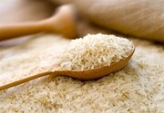 برنج خارجی هم کم کم از سفره مردم پر می‌کشد
