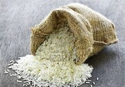 ممنوعیت واردات برنج قطعی شد