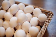 تخم مرغ گران می‌شود؟