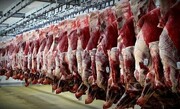 جدیدترین قیمت گوشت منجمد در میادین