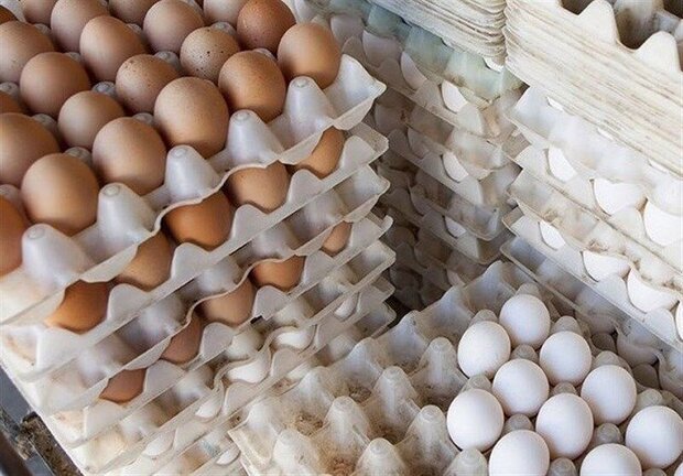 تخم‌مرغ دانه‌ای چند؟