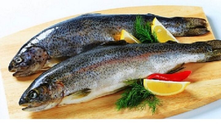 قیمت انواع ماهی قزل آلا در بازار