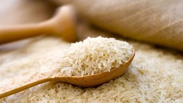 توزیع برنج خارجی آغاز شد