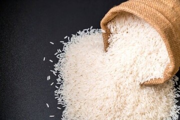  رتبه ۲۱ ایران در تولید برنج دنیا
