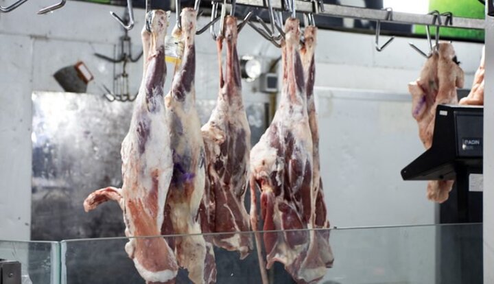 واردات گوشت حرام به کشور صحت دارد؟