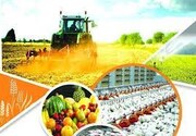 تحلیل بنیادی صنعت زراعت پس از گرانی محصولات