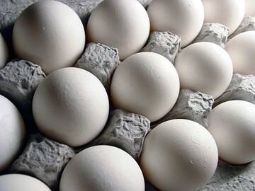 از ابتدای سال چقدر تخم مرغ صادر شده است؟
