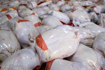 روزانه ۶۰۰ تن مرغ مازاد بر نیاز بازار عرضه می شود