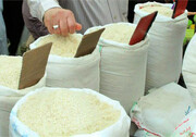 قیمت برنج به کمتر از ۸۰ هزار تومان می رسد؟