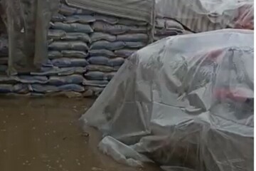 سیل اخیر زاهدان ۳۰۰ تن برنج خسارت زد