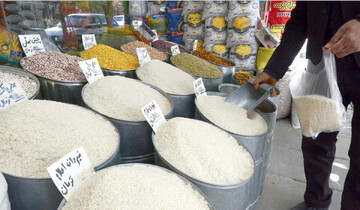 ارز برنج وارداتی نیمایی است
