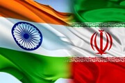 میوه ایرانی در راه هند