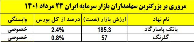 دو شرکت بزرگ بورسی بخش خصوصی کدامند؟