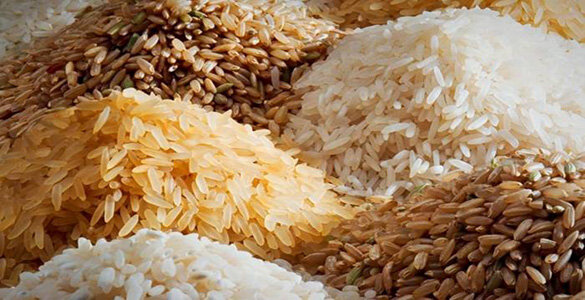 قیمت جهانی برنج کاهش خواهد یافت؟
