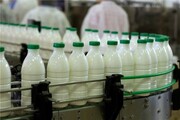 چهارمین ماه بدون تغییر قیمت شیر