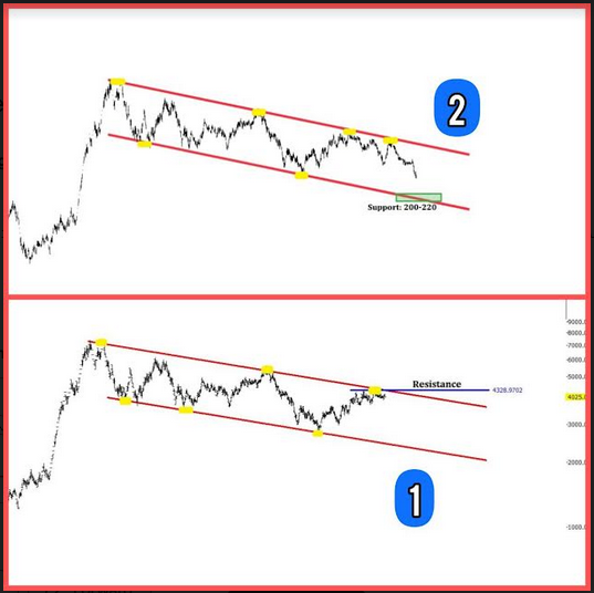 ونوین اصلاح قیمتی را در پیش گرفت