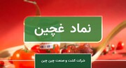 غچین این ماه ۱۰۸ میلیارد تومان فروش داشت