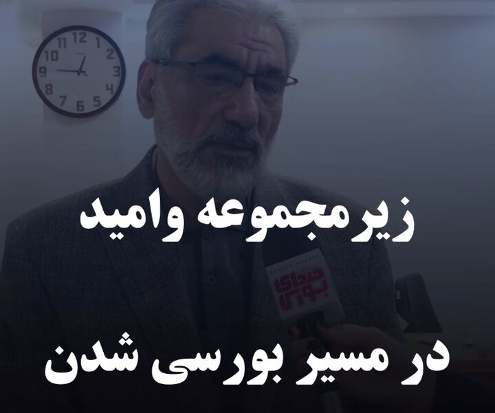 زیرمجموعه وامید در مسیر بورسی شدن