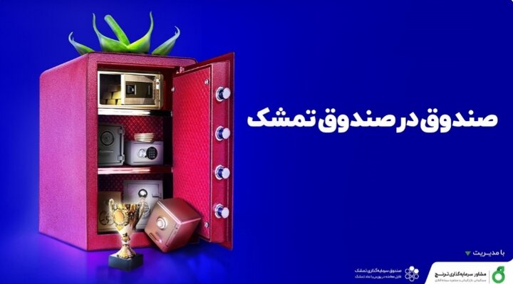 چرا «تمشک» امروز بالاترین بازدهی را در صندوق های ETF داشت؟