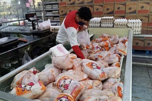 سخنرانی مهم سرپرست وزارت جهاد کشاورزی در خصوص قیمت مرغ
