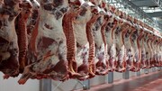 چرا گوشت قرمز تولید داخل در کالابرگ الکترونیک دیده نشده است؟