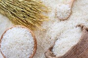 قیمت برنج ایرانی نصف شد