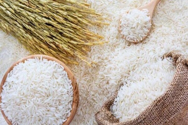 قیمت برنج ایرانی نصف شد
